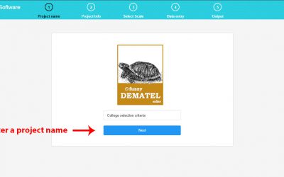 fuzzy dematel software steps