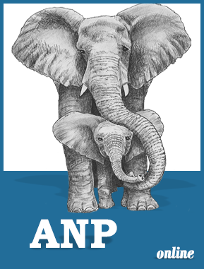 ANP software