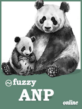 fuzzy anp software