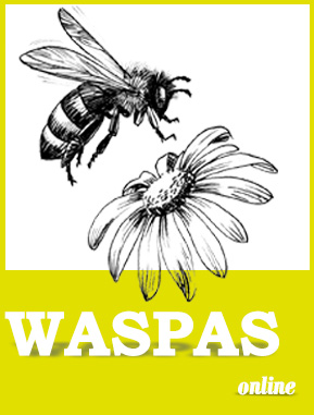 WASPAS software